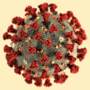 koronavirus